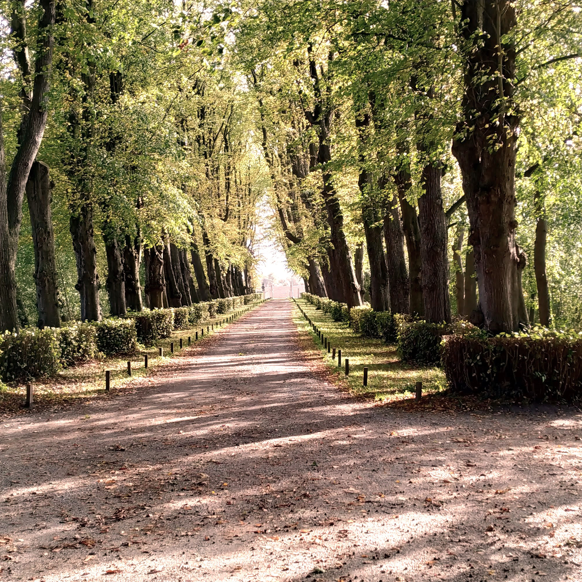 Makelaardij Klavertje Vier